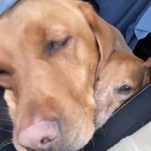 Meet your Posher, Caleb